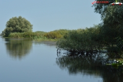 Rezervaţia Biosferei Delta Dunării Sulina 71