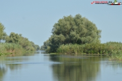Rezervaţia Biosferei Delta Dunării Sulina 72