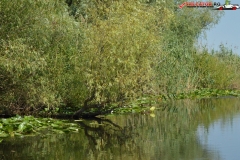 Rezervaţia Biosferei Delta Dunării Sulina 75