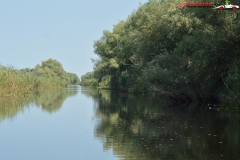 Rezervaţia Biosferei Delta Dunării Sulina 79