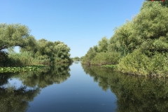 Rezervaţia Biosferei Delta Dunării Sulina 82