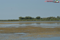 Rezervaţia Biosferei Delta Dunării Sulina 86