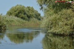 Rezervaţia Biosferei Delta Dunării Sulina 89