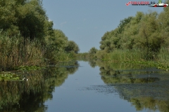 Rezervaţia Biosferei Delta Dunării Sulina 90