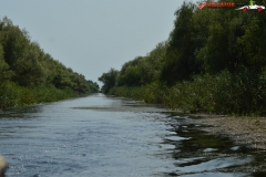 Rezervaţia Biosferei Delta Dunării Sulina 91
