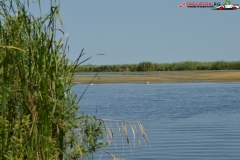 Rezervaţia Biosferei Delta Dunării Sulina 93