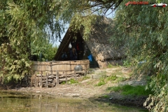 Rezervaţia Biosferei Delta Dunării Sulina 99