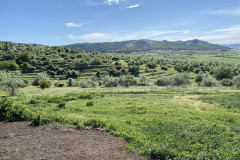 Rezervația naturală Dealul Sarica 15