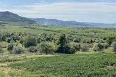 Rezervația naturală Dealul Sarica 16