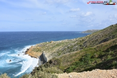 Rezervatia naturala Għajn Barrani Gozo, Malta 06