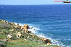 Rezervatia naturala Għajn Barrani Gozo, Malta 27