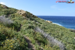 Rezervatia naturala Għajn Barrani Gozo, Malta 28
