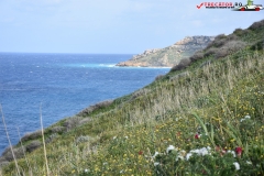 Rezervatia naturala Għajn Barrani Gozo, Malta 29