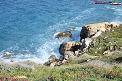 Rezervatia naturala Għajn Barrani Gozo, Malta 33