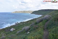 Rezervatia naturala Għajn Barrani Gozo, Malta 35