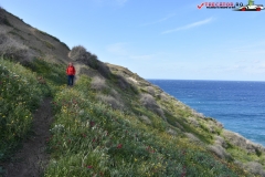 Rezervatia naturala Għajn Barrani Gozo, Malta 37