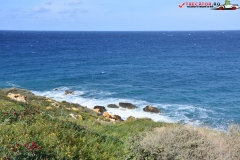 Rezervatia naturala Għajn Barrani Gozo, Malta 41