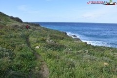 Rezervatia naturala Għajn Barrani Gozo, Malta 42