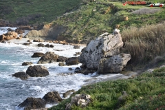 Rezervatia naturala Għajn Barrani Gozo, Malta 44