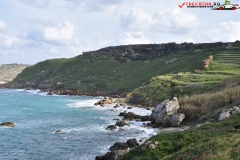 Rezervatia naturala Għajn Barrani Gozo, Malta 45