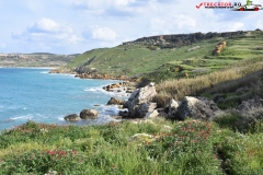 Rezervatia naturala Għajn Barrani Gozo, Malta 47