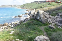 Rezervatia naturala Għajn Barrani Gozo, Malta 49