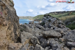 Rezervatia naturala Għajn Barrani Gozo, Malta 51