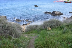 Rezervatia naturala Għajn Barrani Gozo, Malta 52