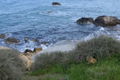 Rezervatia naturala Għajn Barrani Gozo, Malta 53