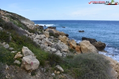 Rezervatia naturala Għajn Barrani Gozo, Malta 54