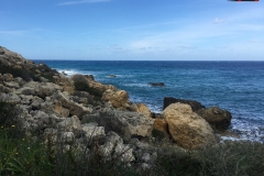 Rezervatia naturala Għajn Barrani Gozo, Malta 57