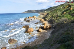 Rezervatia naturala Għajn Barrani Gozo, Malta 67