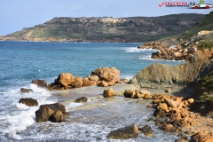 Rezervatia naturala Għajn Barrani Gozo, Malta 68