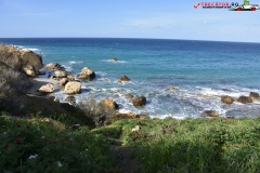 Rezervatia naturala Għajn Barrani Gozo, Malta 76