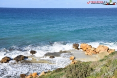 Rezervatia naturala Għajn Barrani Gozo, Malta 79