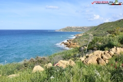 Rezervatia naturala Għajn Barrani Gozo, Malta 80