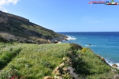Rezervatia naturala Għajn Barrani Gozo, Malta 81