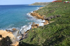 Rezervatia naturala Għajn Barrani Gozo, Malta 82