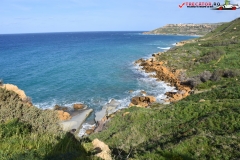Rezervatia naturala Għajn Barrani Gozo, Malta 83