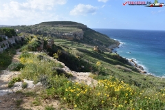 Rezervatia naturala Għajn Barrani Gozo, Malta 96