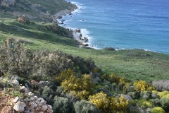 Rezervatia naturala Għajn Barrani Gozo, Malta 98