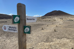 Rezervația naturală specială Montaña Roja, Tenerife 02