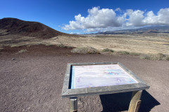 Rezervația naturală specială Montaña Roja, Tenerife 101