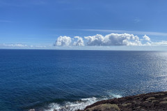 Rezervația naturală specială Montaña Roja, Tenerife 106