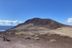 Rezervația naturală specială Montaña Roja, Tenerife 110