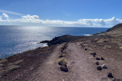 Rezervația naturală specială Montaña Roja, Tenerife 111