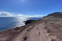 Rezervația naturală specială Montaña Roja, Tenerife 113