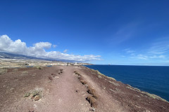 Rezervația naturală specială Montaña Roja, Tenerife 114