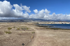 Rezervația naturală specială Montaña Roja, Tenerife 133