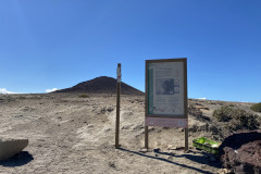 Rezervația naturală specială Montaña Roja, Tenerife 135